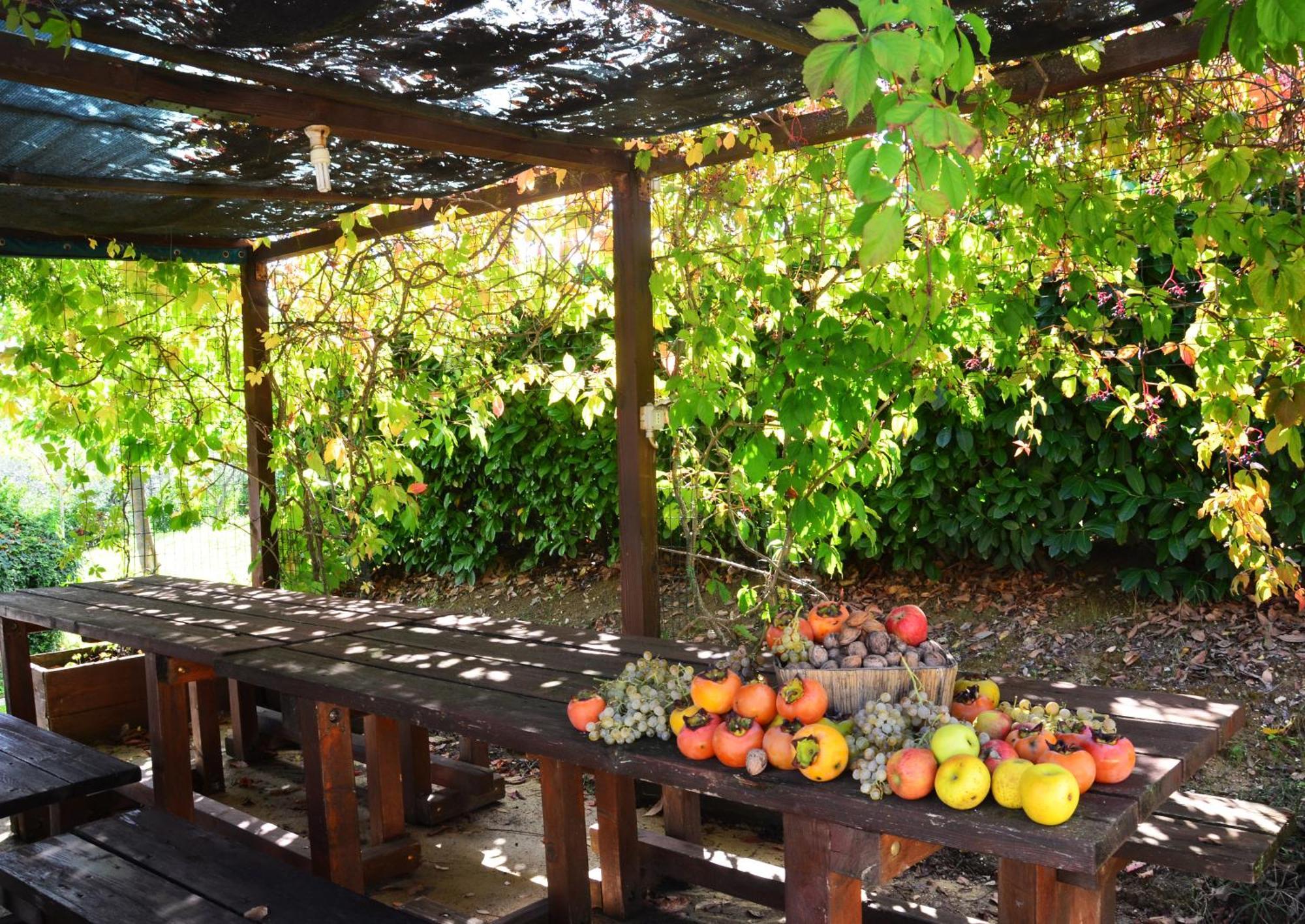 Country House Nonna Rana Cannara Exterior foto